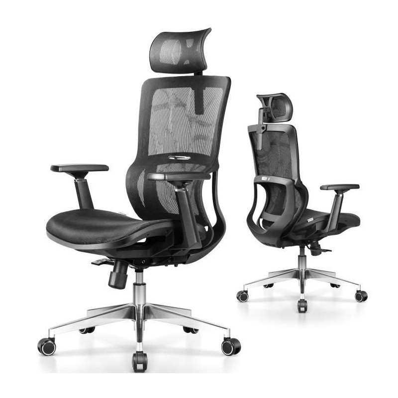 Fauteuil Ergonomique LA-828A