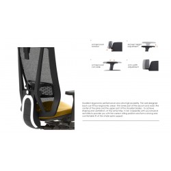 Fauteuil Ergonomique LA-872H