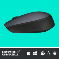 Logitech M170 Wireless Mouse